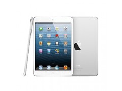 iPad mini 16G WIFI版