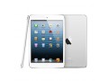 iPad mini 16G WIFI版