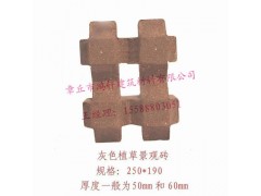 景观烧结砖 铺路砖  耐火砖 烧结砖  园林砖 建筑材料 盲道砖  车道砖  透水砖