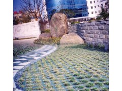 橡胶植草砖(图)，草坪砖，停车场，广场砖