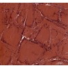佛山红翻天建材全抛釉瓷砖室内800x800地板砖HX80363BS西亚红