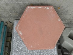 深圳供应坡面砖  环保彩砖 透水砖 广场砖 水泥制品