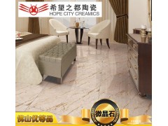 广东佛山瓷砖 地板砖 瓷砖 微晶石800 客厅地面瓷砖