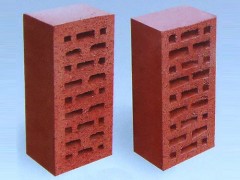 浙江温州年产8000万标块非黏土烧结多孔砖企业投产